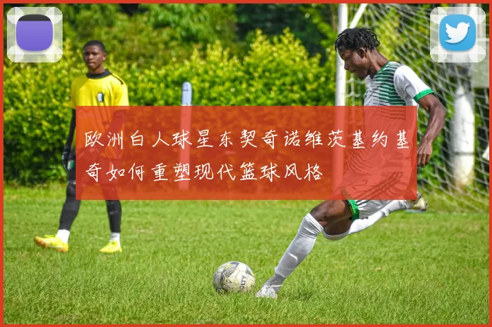 欧洲白人球星东契奇诺维茨基约基奇如何重塑现代篮球风格